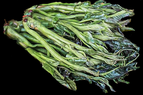 小口径便携式色差仪用于香椿嫩芽色泽的检测