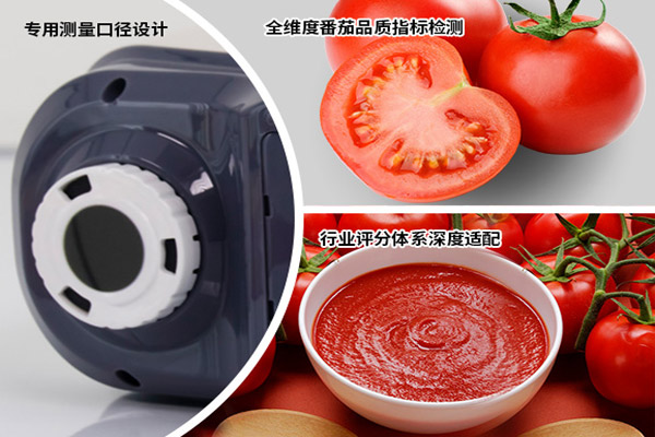 番茄酱测色仪为什么要选用大口径的测色仪？