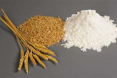 色差仪检测小麦及其加工品的颜色